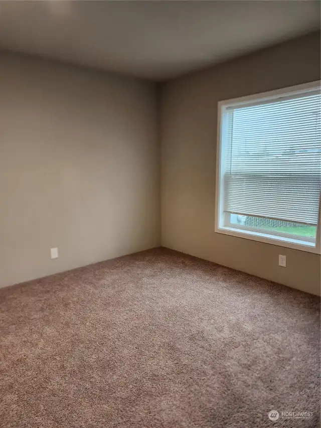 Primary with fresh carpet and Large window.
