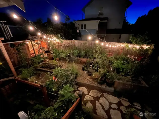 Garden two years ago at its peak.  Many a party has happened here with a firepit.