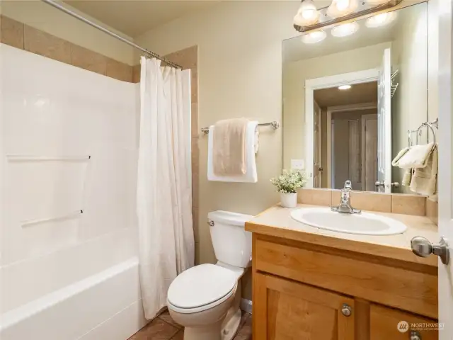 Lower level bath with tub and shower