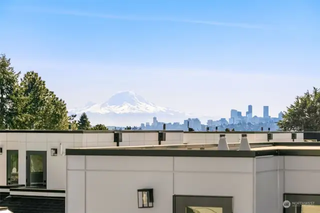 Unobstructed views from the private roof deck!