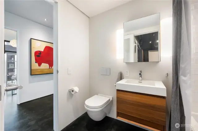 Guest bath (en-suite to home theater/wall bed room).