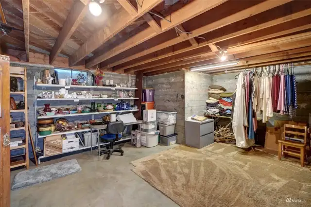 Basement storage room