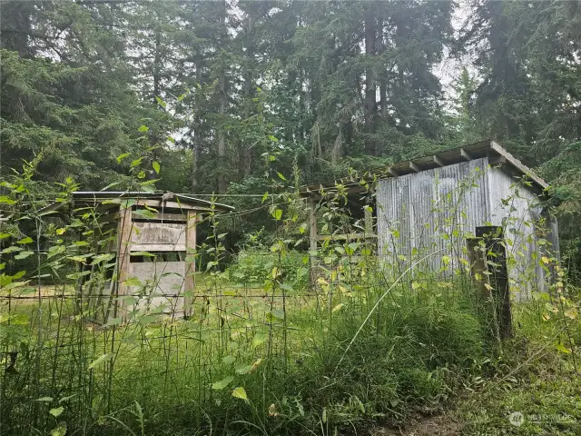 Live stock shed and feeder