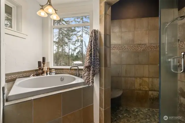 Large walk-in shower and Japanese soaking tub with a view!