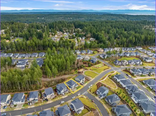 Premier builder lot - Gig Harbor is in the top right corner. Easy access to major highways, shopping, parks, and walking distance to top-rated Peninsula Gig Harbor schools.