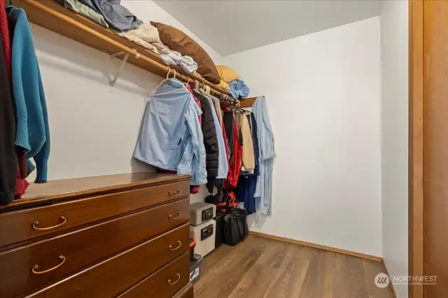 Second Primary Closet on lower level