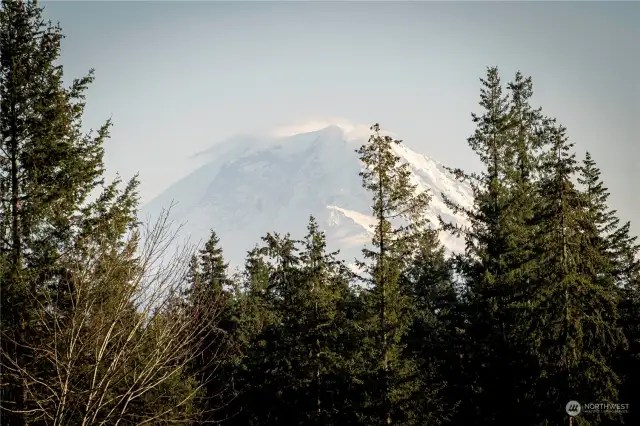 Enlarged shot from the back yard of the Mount Rainier view.