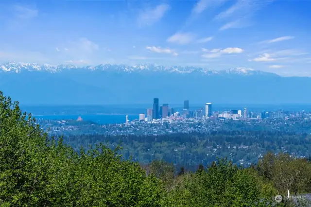 City, Sound, Olympic Mts, all out your windows