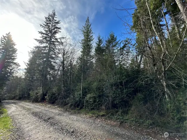 Main road on E side of property