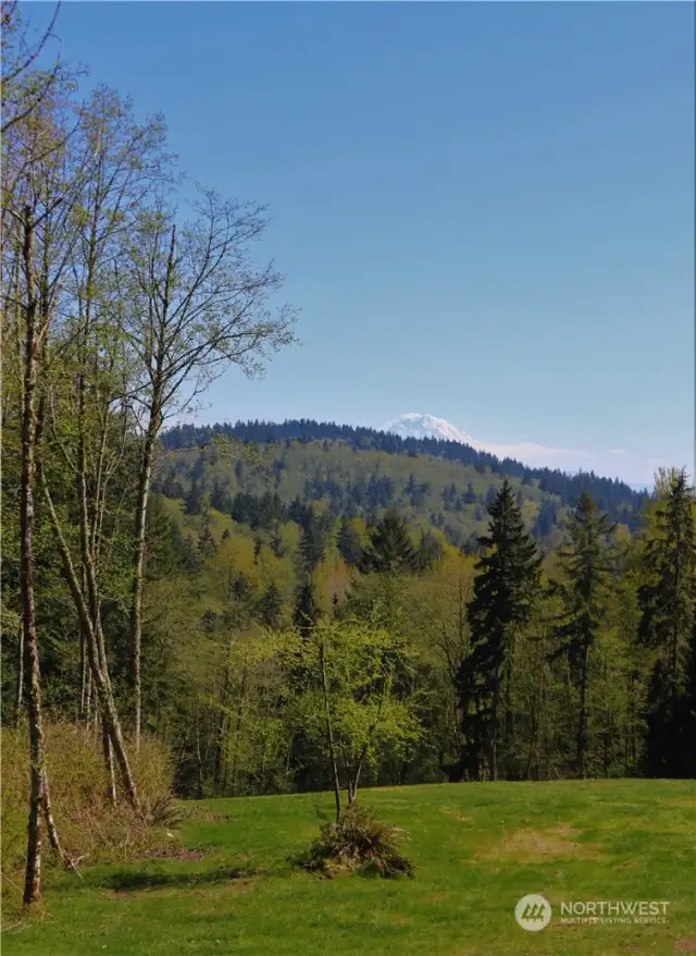 Lightly Southern Slope to the Adjacent King County Cougar Mountain Regional Park