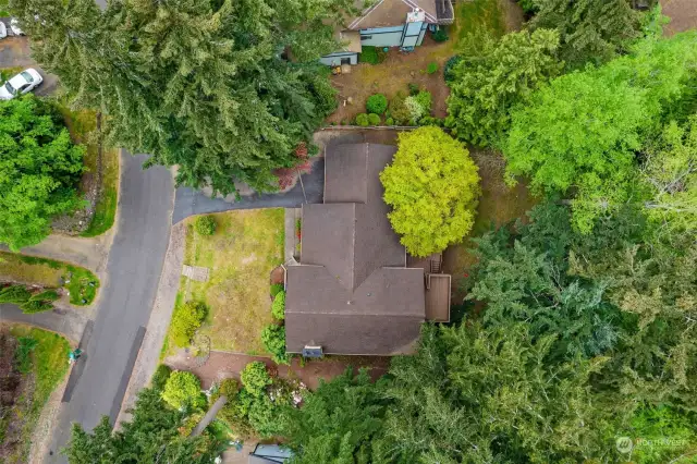BIRD'S EYE VIEW OF THE PROPERTY | You'll love this private location on a dead-end street in the established neighborhood of "The Woods."