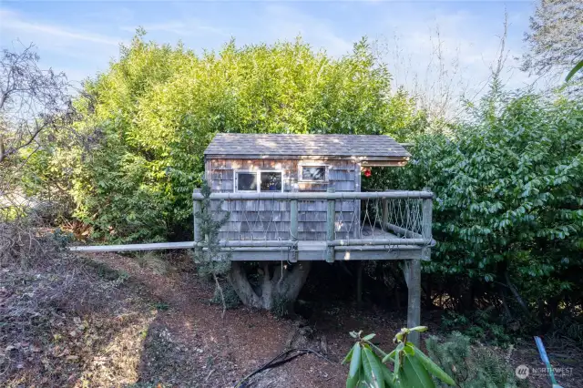 Hidden in the trees to the south of the home is this adorable playhouse.