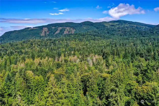 Unobstructed Tiger Mountain view via drone