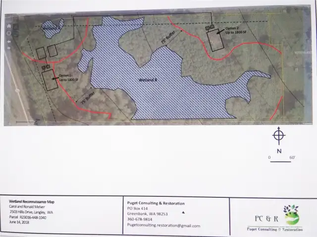 Preliminary Wetland Schematic, not completed with Island County Planning Department.