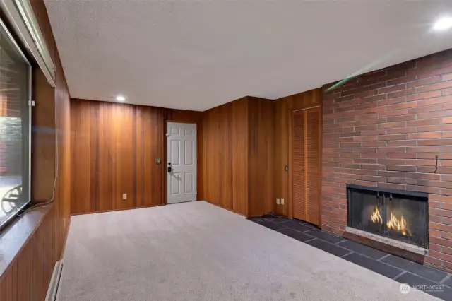 Lower level bedroom or family room with fireplace