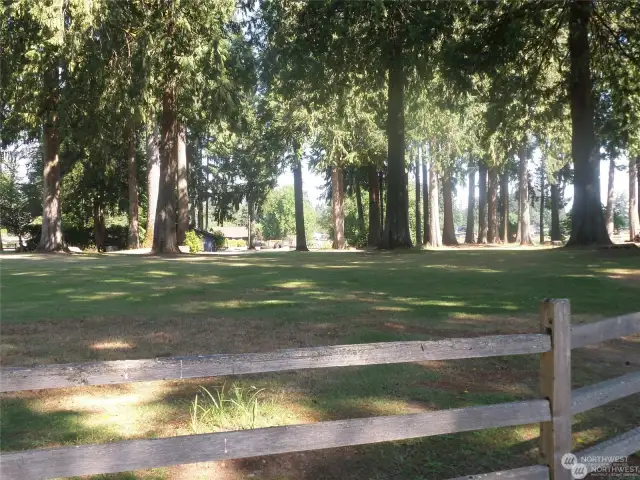 Large area for BBQs and get together at the Scott Lake Park