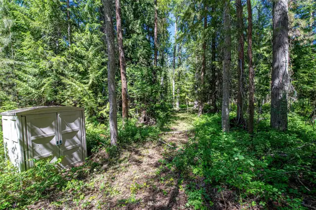 Path to the river in Mazama