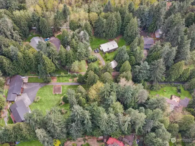The house at top is NOT ncluded.  The boundary is in the middle of the trees.