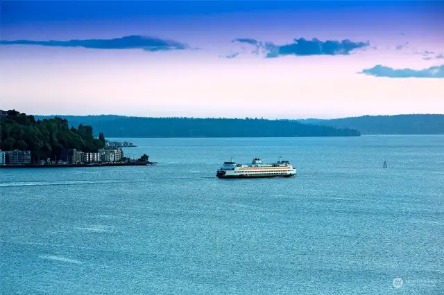 Watch the ferries all day long.