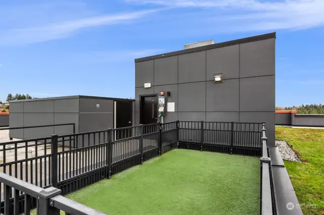 Dog area on rooftop