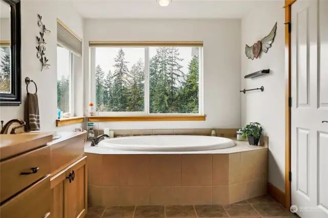 Lovely soaking tub also on the west side of the house to enjoy all that light!