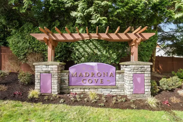 Welcome to Madrona Park