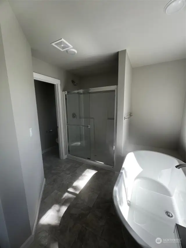 Primary bathroom with large shower and soaking tub