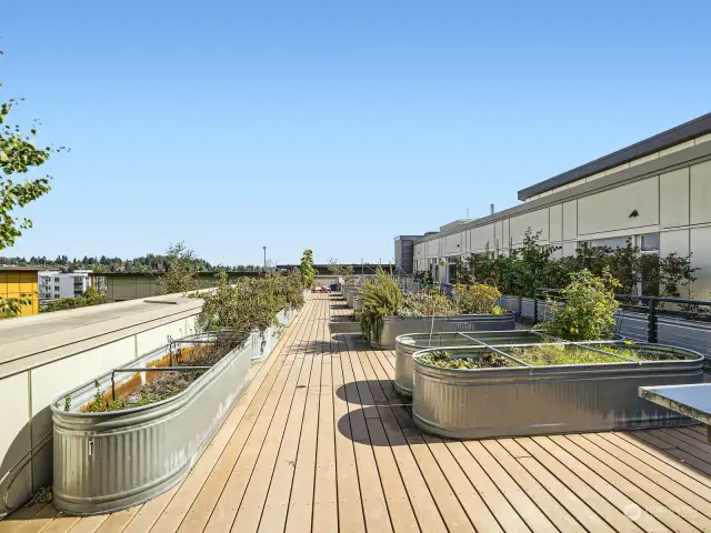 5th floor rooftop community garden