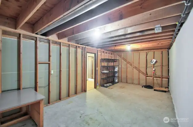 Additional storage in daylight basement