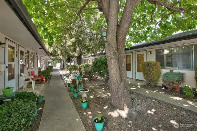 Central Courtyard Shared with 404 S 9th Avenue 6-Plex