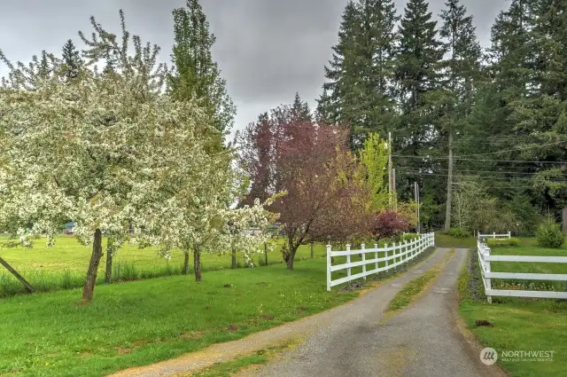 Beautiful trees and landscaping with white picket fence.
