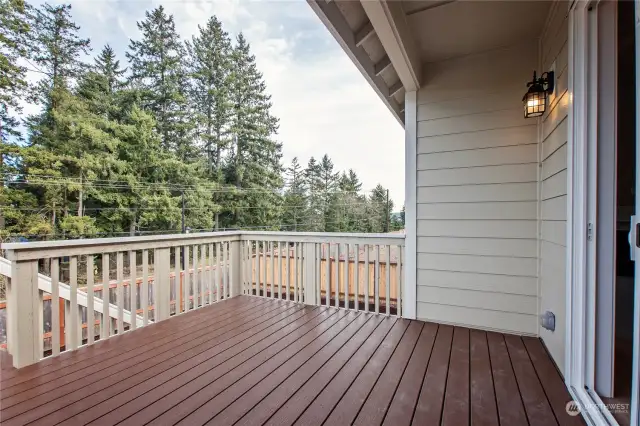 Large, trex deck great for entertaining