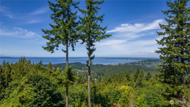 Views of Bellingham Bay, South Hill, WWU, and Canada in the background.