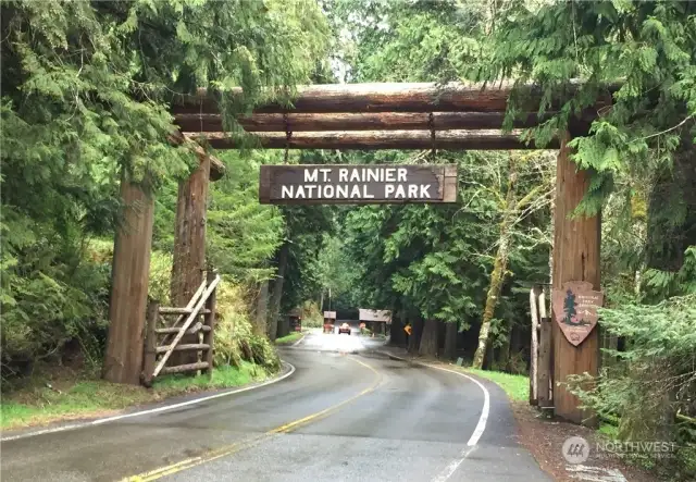 Mount Rainier entrance is only 1 block away!