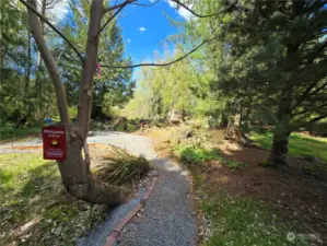 Wander the trails around your property or create new ones, there is a lot of space for that. This trail leads to the fire circle pad, what a great place for get togethers.