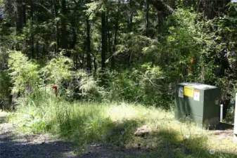 Electrical box on right, water meter at the base of the red standpipe to the left.  Utilities are at the property line, which is north up the road from the driveway easement