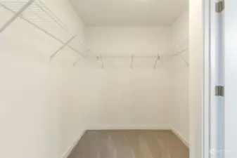 Large walk-in closet on primary level