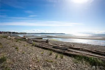 Community Birch Bay beach to enjoy for swimming, clamming or crabbing