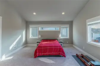 Large Primary Bedroom with Vaulted Ceiling