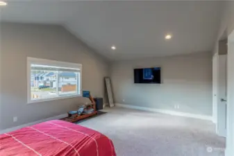 Large Primary Bedroom with Vaulted Ceiling