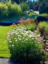 Perennials and native plants surround the home.