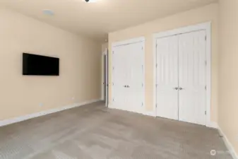 TV and large closets in Office/Bedroom
