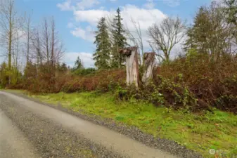 Peek a boo views of Mt Rainier from property. Well maintained entry road and mostly level, rectangular lot great for building your dream home or possible subdivide. Buyer to verify all information to their satisfaction.