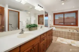Dual vanity primary suite with deep soaking tub and walk in shower. Around the corner, you'll love the massive walk in closet!