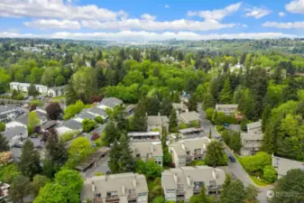 Just mins from downtown Seattle & Seatac airport - yet nestled in a quiet development surrounded by trees!