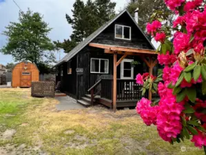 Cottage full of charm and possibilities, walking distance to the ocean and shopping and restaurants.