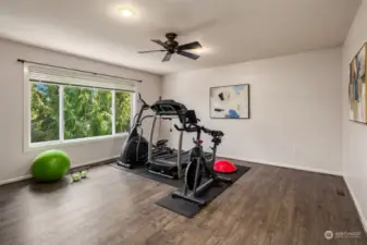 The upstairs bonus room is a perfect flex space-- play, workout or work from home.