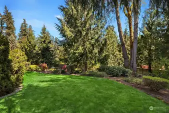 This shy half acre park-like lot provides lots of privacy.