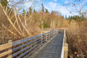 Hawley Cove’s boardwalks are ADA accessible, and wind through magical wetlands that support a huge population of birds, including red-winged blackbirds.