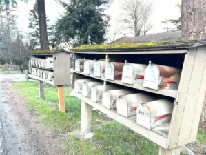 Mailboxes for both Driftwood Buildings